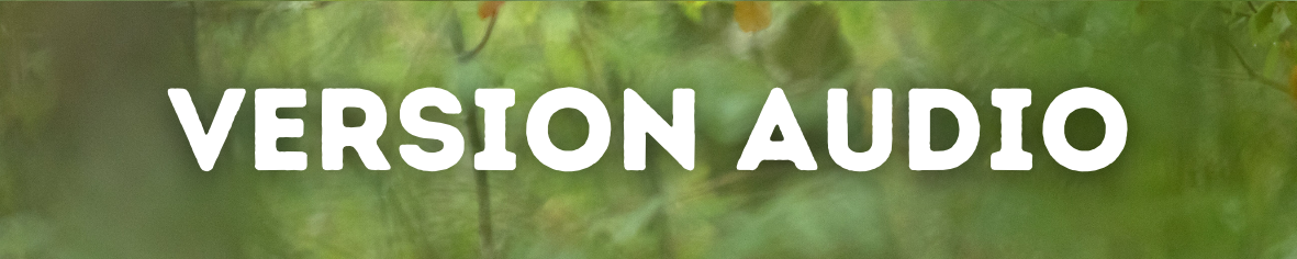 version audio