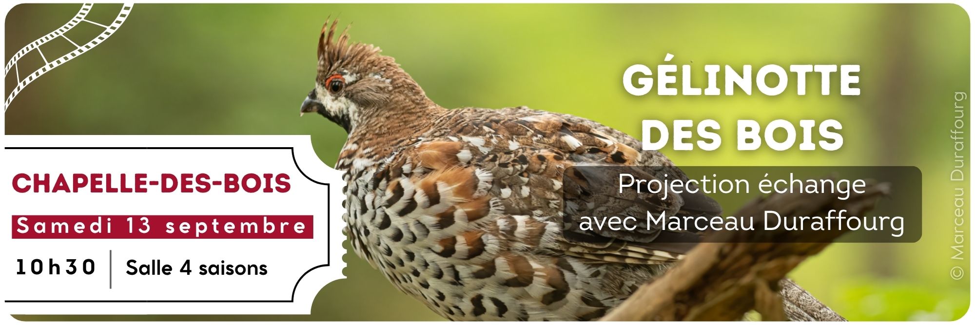 projection rencontre gélinotte des bois marcerau duraffourg