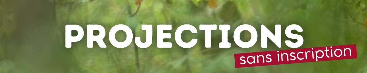 projections sans inscription