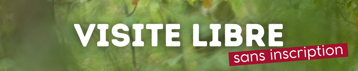 visite libre exposition sans inscription