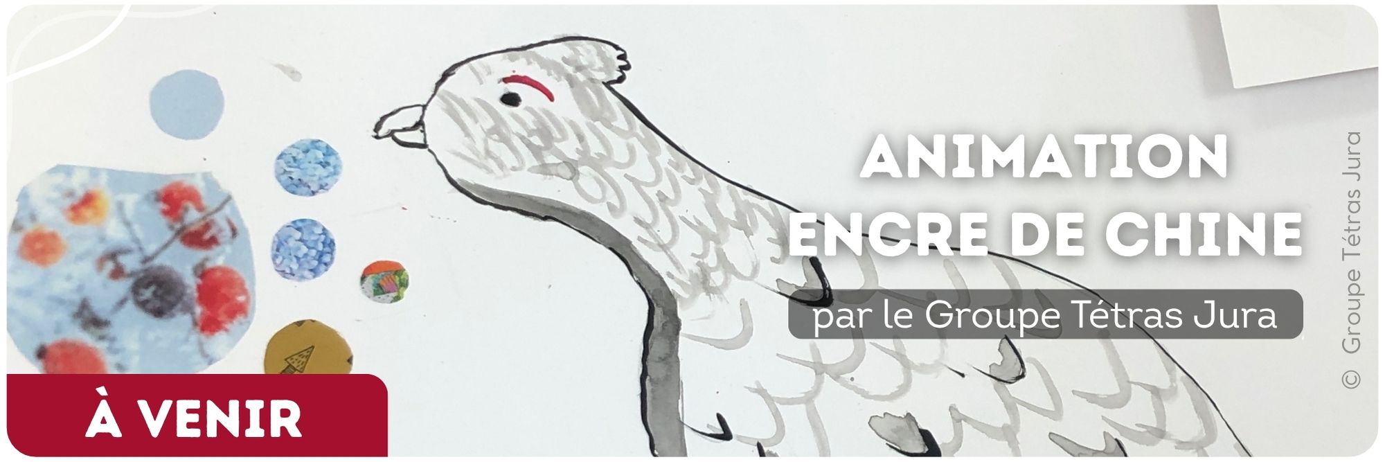 animation encre de chine groupe tétras jura exposition itinérante art nature forêt