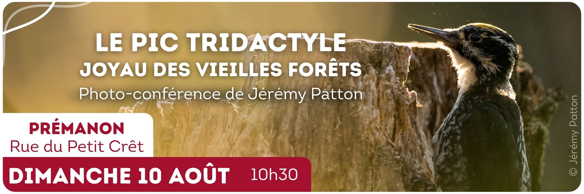 photo-conférence jeremy pic tridactyle vieilles forets premanon