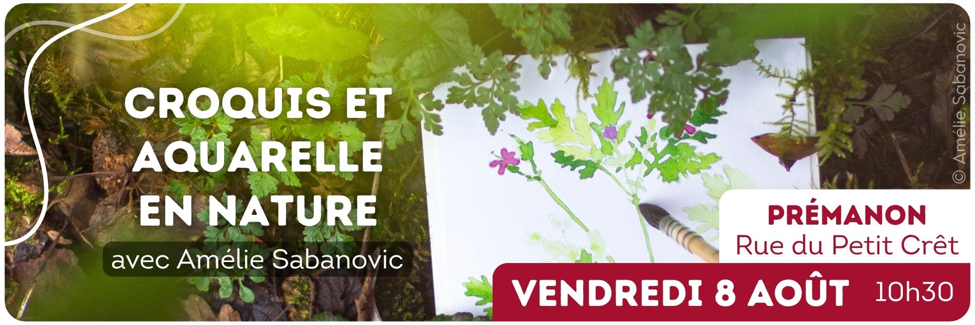 sortie atelier aquarelle et croquis naturaliste nature dehors prémanon amélie françois jura 8 août