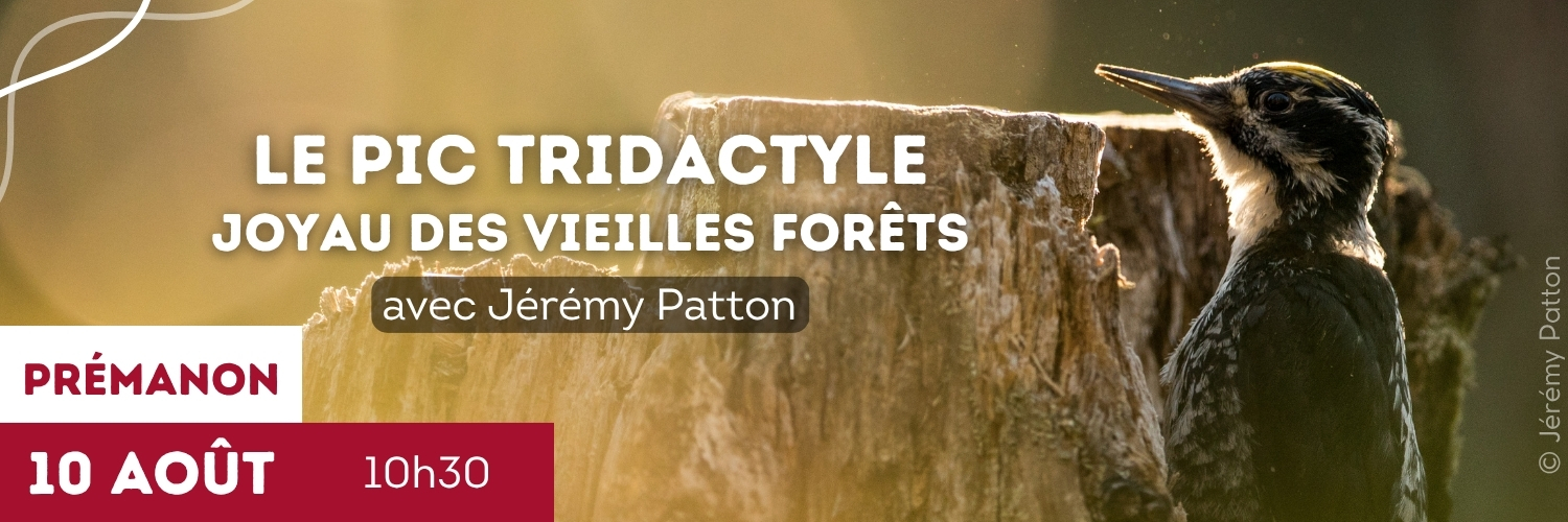 photo-conférence jeremy pic tridactyle