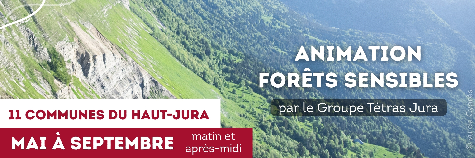 animation nature foret sensible sensoriel groupe tétras jura exposition itinérante jura gélinotte arbre