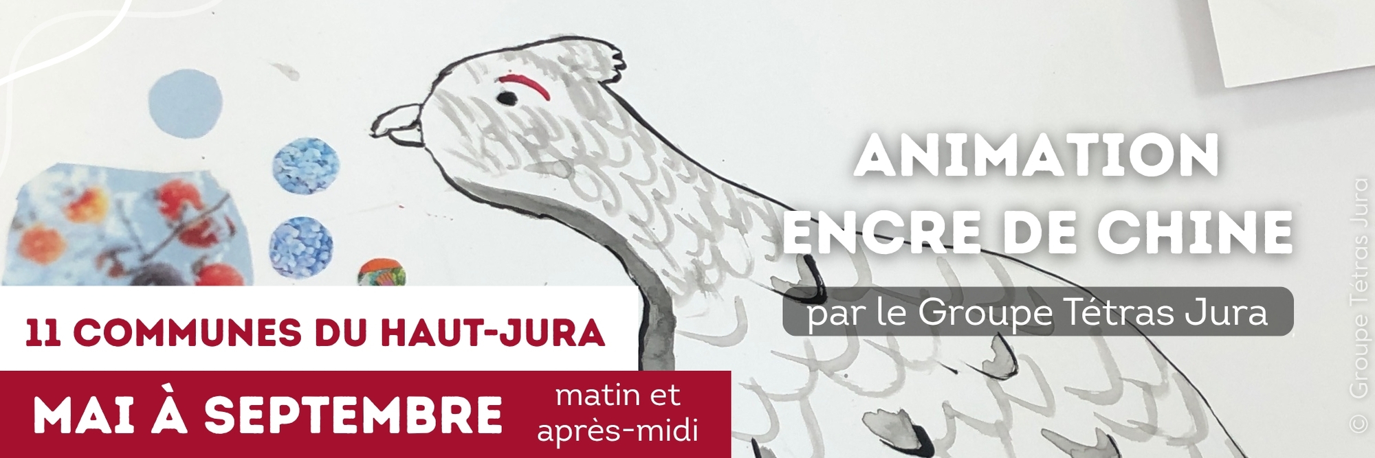 animation encre de chine groupe tétras jura exposition itinérante art nature forêt