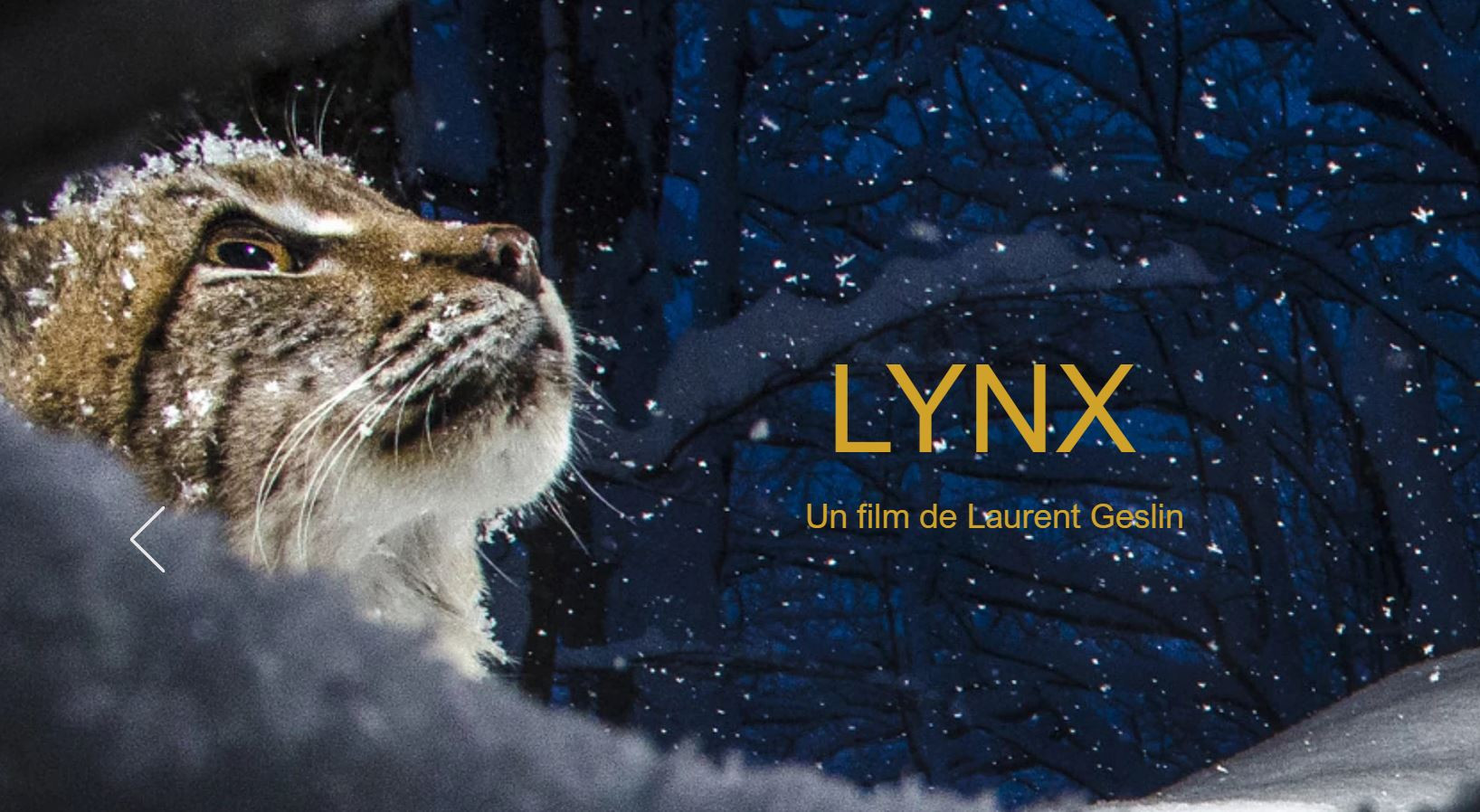 affiche du film lynx de laurent geslin